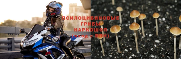 каннабис Алексин
