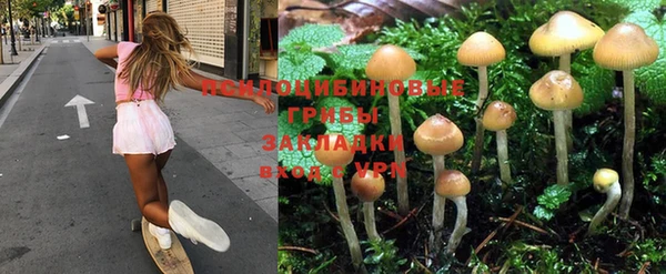 эйфоретик Покровск