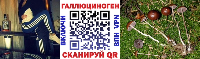 как найти закладки  Балабаново  Псилоцибиновые грибы MAGIC MUSHROOMS 