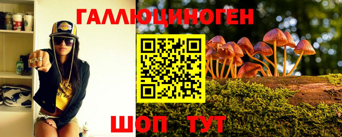 Балабаново  Псилоцибиновые грибы мицелий  Вход с VPN 